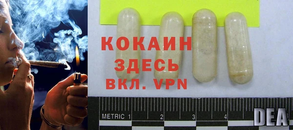 ешки Горняк