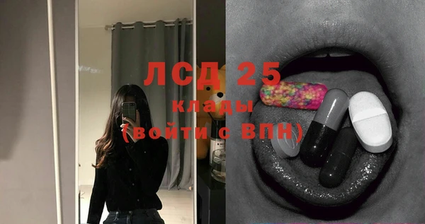 ешки Горняк