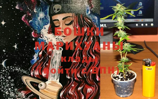 ешки Горняк