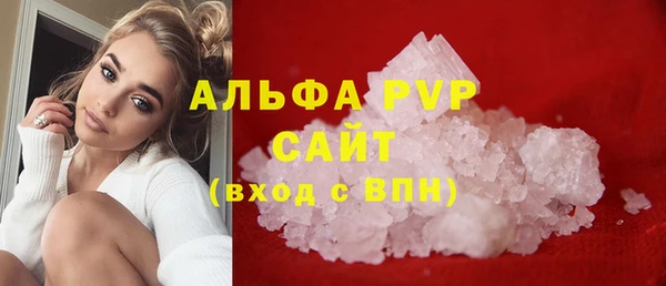 ешки Горняк