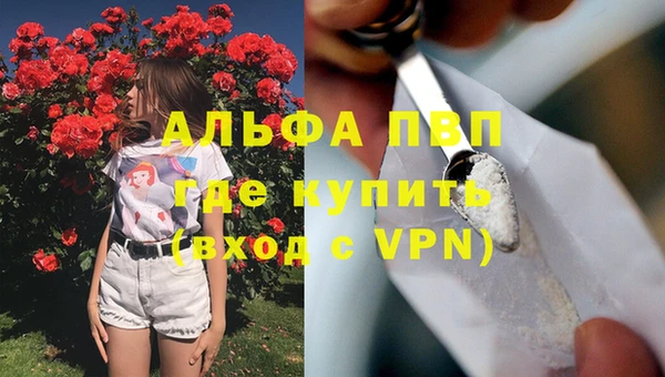 ешки Горняк
