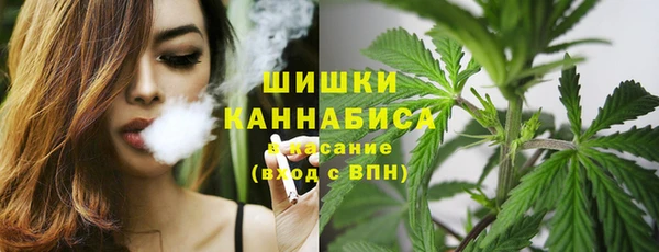 ешки Горняк