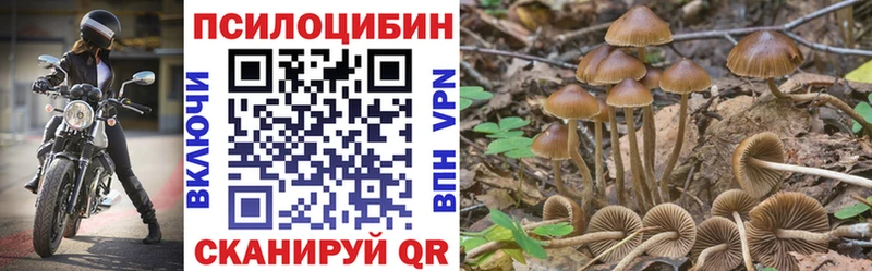 Купить закладки  Кумертау  Псилоцибиновые грибы Psilocybine cubensis 
